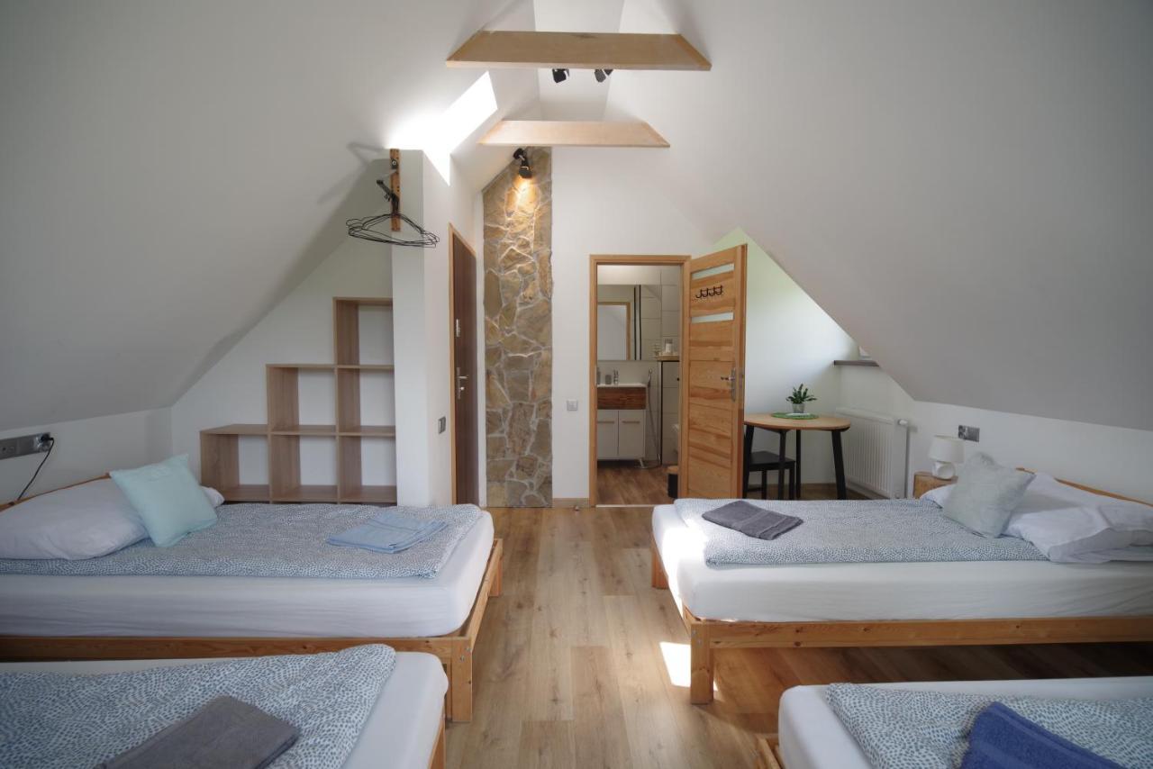 Ski House Szczyrk - Czyrna מראה חיצוני תמונה